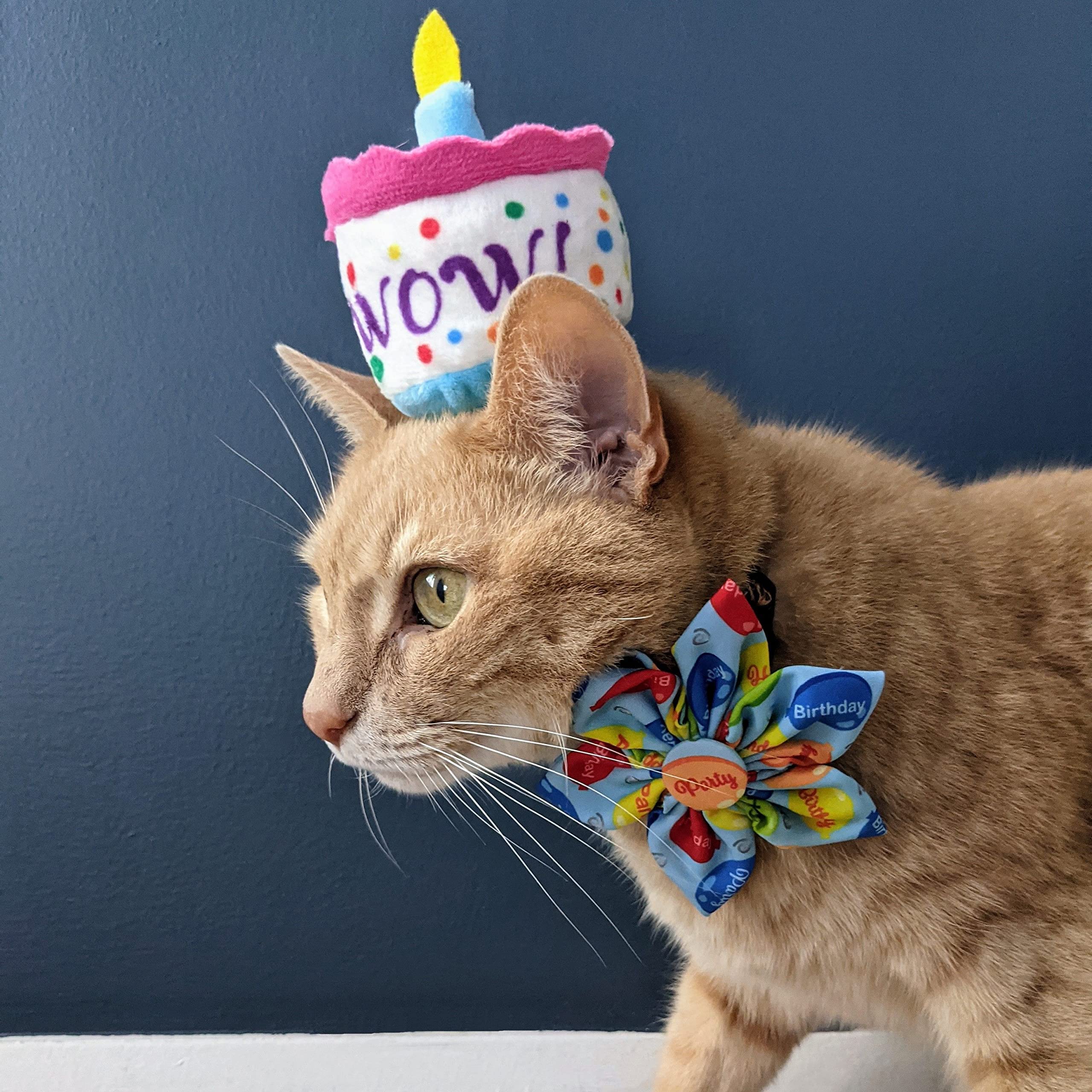 Huxley & Kent Plush Cat Toy - Mewow Cake - Birthday Strong Catnip Filled - Plush Interactive Kitten And Cat Toy With Catnip And